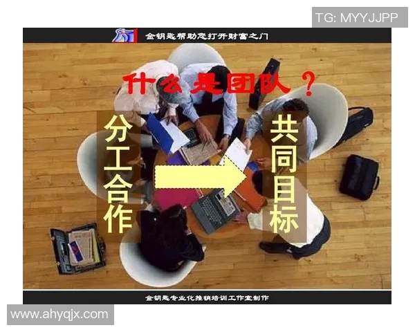 深圳篮球队团队协作的重要性与实战表现的深度剖析