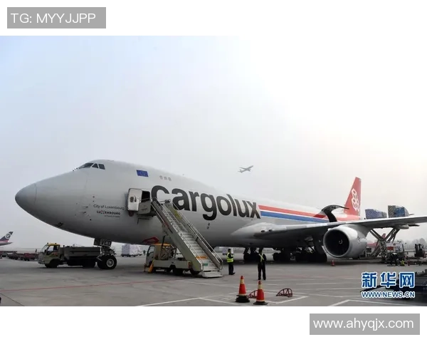 赵秀英的篮球人生：从球场拼搏到梦想启航的心路历程