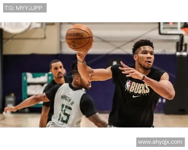 南京乒乓球队区域防守策略解析与热点动态深度剖析